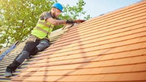 Best Roof Moss and Algae Removal  in Cove Creek, NC